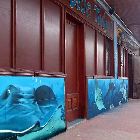 Хостел Dive Ocean Dreams